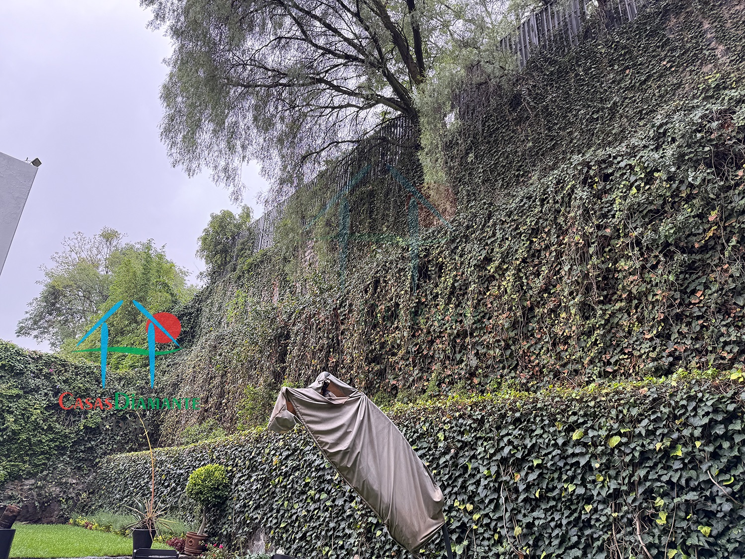 Jardines del Pedregal Casa Rivera EJ - Jardín 5